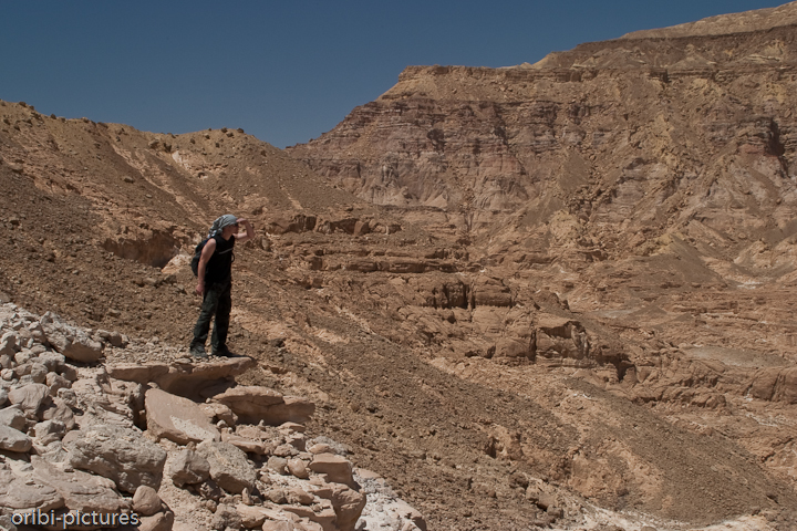 *Blick in den Coloured Canyon, Sinai* <br><br> Ein Muss für jeden Individualreisenden. <br><br>