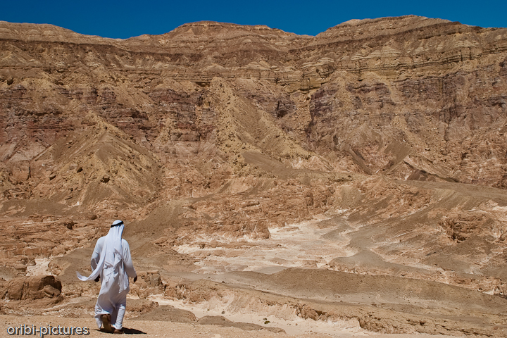 *Beduine ...* <br><br> ... am Rand des Coloured Canyon. <br><br>