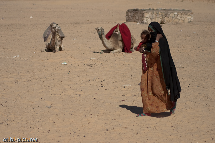*Verschleiert* <br><br> Eine Beduinin im Hinterland des Sinai. Ihr Schleier schützt sie an diesem windigen Tag auch vor dem Staub. <br><br>