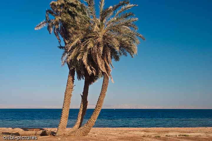 *Golf von Aquaba* <br><br> Dahab liegt am Roten Meer mit Blick bis Jordanien. <br><br>