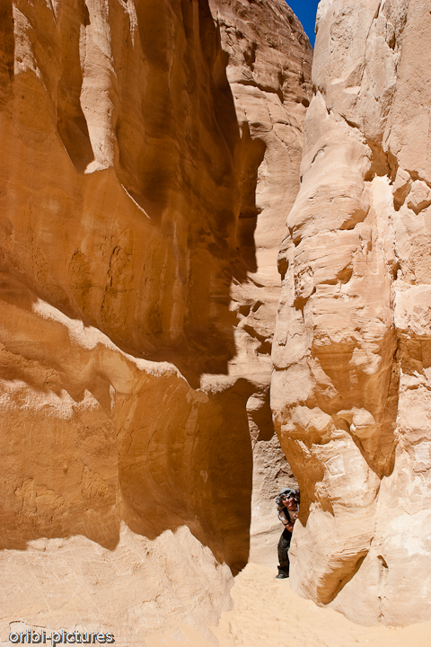 *Größenvergleich* <br><br> Wie klein ist doch der Mensch im tiefen White Canyon. <br><br>