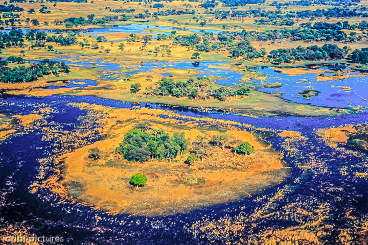 *Okavangodelta*<br><br><br><br>