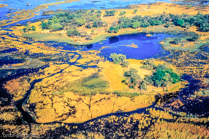 *Okavango Inseln*<br><br><br><br>
