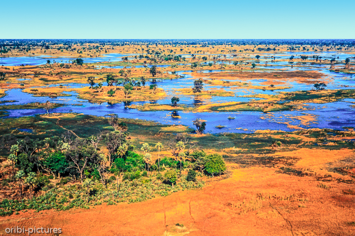 *Okavangodelta*<br><br><br><br>