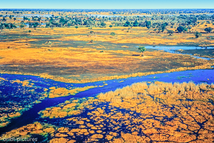 *Okavangodelta*<br><br><br><br>