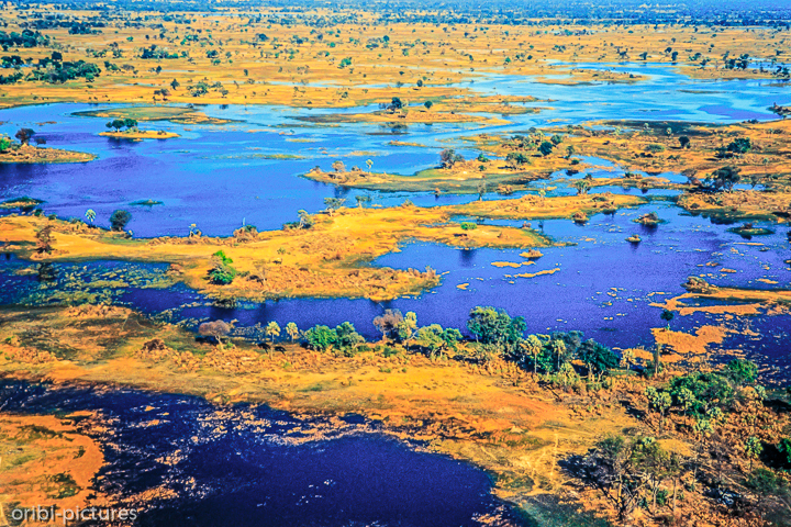 *Okavangodelta*<br><br><br><br>