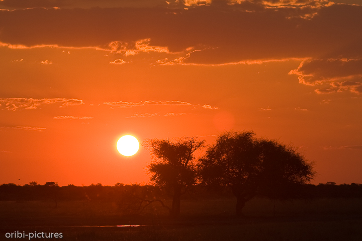 *Sonnenuntergang am Wasserloch*<br><br>Die letzten Minuten Tageslicht an einem Wasserloch im Khama Rhino Sanctuary.<br><br>