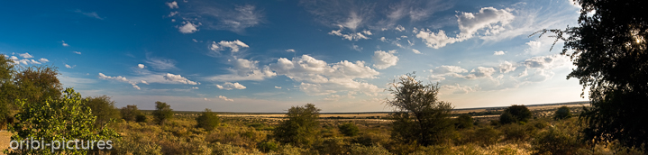 *Blick in die Sunday Pan*<br><br>Diesen Ausblick in die nahe Sunday Pan genießt man von der Campsite Nr. 3.<br><br>