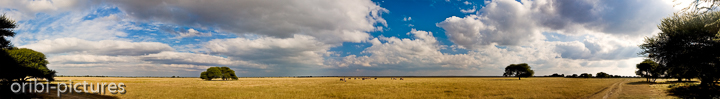 *Tau Pan*<br><br>180° Blick über die Weiten der Tau Pan<br><br>