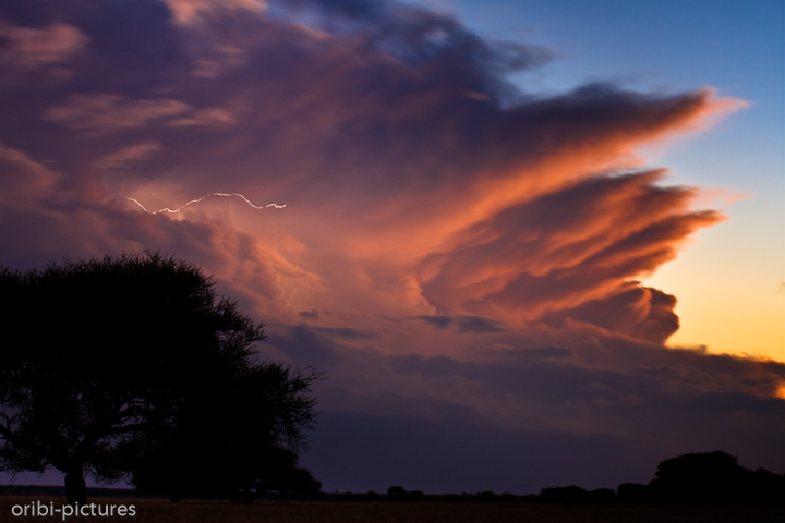 *Thunderstorm*<br><br>Wetterleuchten und Bitze überzogen die Kalahari in jener Nacht.<br><br>