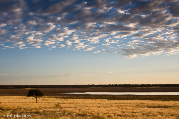 *Mabuasehube Pan*<br><br>Blick in die Mabuasehube Pan mit großem Wasserloch von Campsite Nr. 2<br><br>