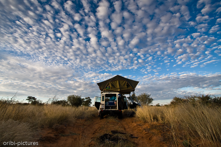 *Unerwünschter Stopp*<br><br>Nach einem kurzen Fotostopp gab der Motor kein Mucks mehr von sich. So verbrachten wir eine wilde Nacht irgendwo auf der Piste im Mabuasehube Game Reserve, bis uns 24 Stunden später vorbeikommende Toyotas Starthilfe gaben.<br><br>