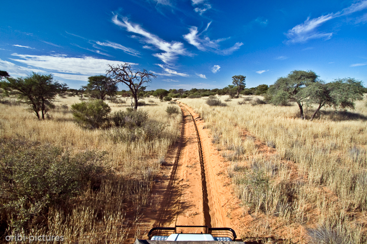 *Mabuasehube - Nossob Through Road*<br><br>Auf dem Weg nach Nossob in Südafrika.<br><br>