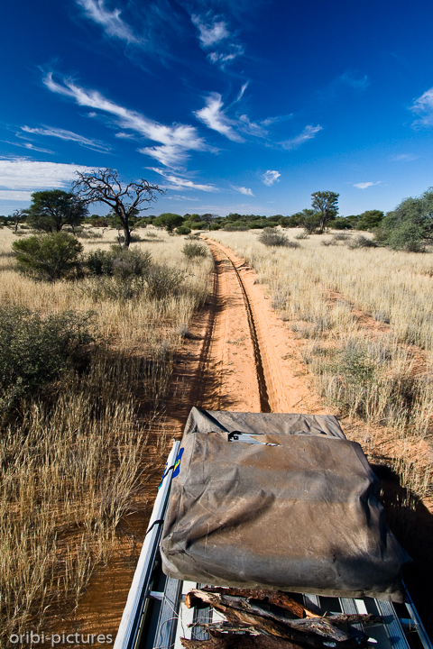*Mabuasehube GR*<br><br>Foto vom Dachträger unseres Jeeps entlang der sandigen Piste gen Westen.<br><br>