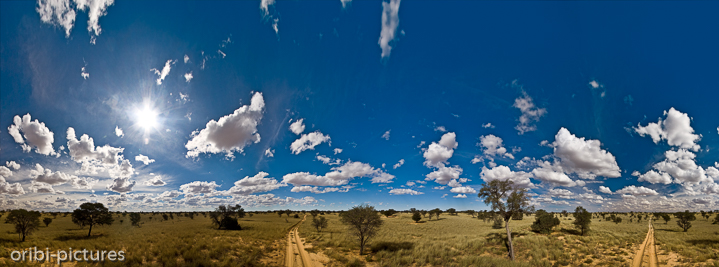 *Rundblick*<br><br>360° Blick in alle Richtungen auf der Through Road durch den Kgalagadi Transfrontier Park.<br><br>