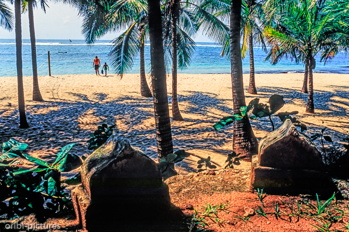 *Diani Beach*<br><br><br><br>