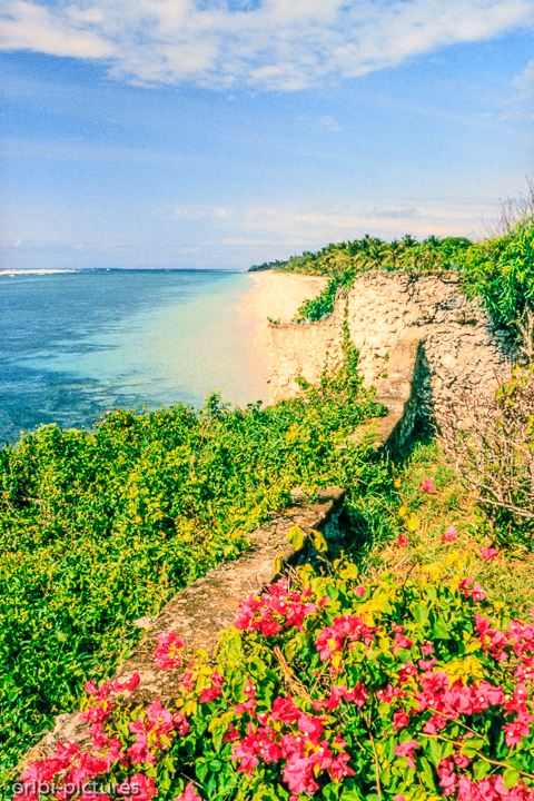 *Tiwi Beach*<br><br><br><br>