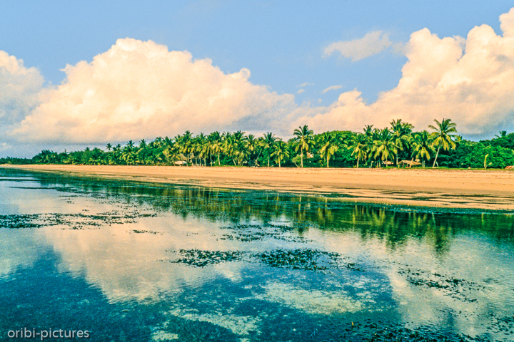 *Diani Beach*<br><br><br><br>