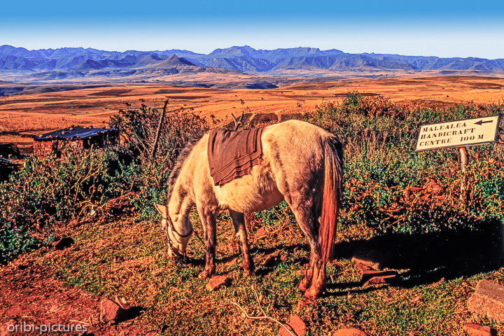 *Malealea Lodge*<br><br><br><br>