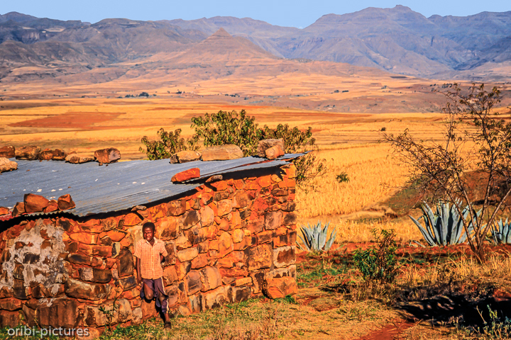 *Lesotho Junge*<br><br><br><br>