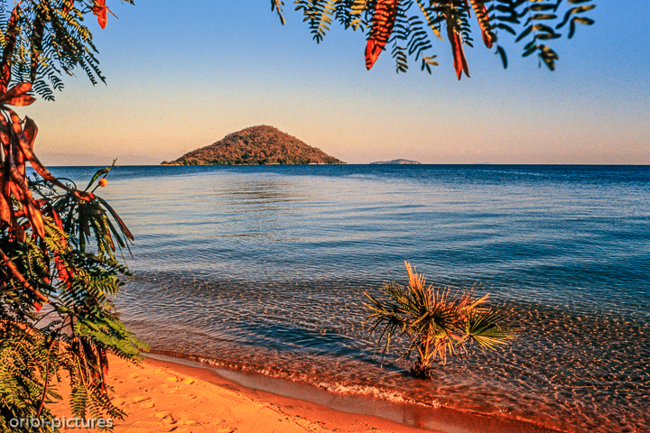 *Malawisee*<br><br><br><br>