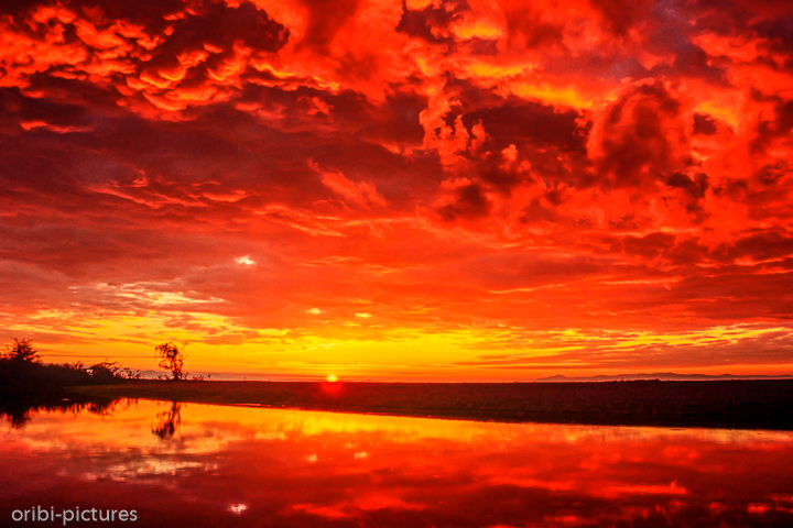 *Sunrise*<br><br><br><br>