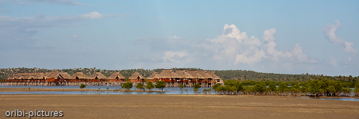 *Flamingo Bay Water Lodge* <br><br> Die Flamingo Bay Water Lodge wurde auf Stelzen in eine Bucht, die mit Mangoven gesäumt ist, gebaut. Die luxuriöse Anlage besteht aus 20 Wasserbungalows, die mit Holzstegen miteinander verbunden sind. Unzählige Flamingos, tropische Fische und die seltenen Dugongs leben in diesem unberührten Ökoparadies. <br><br>