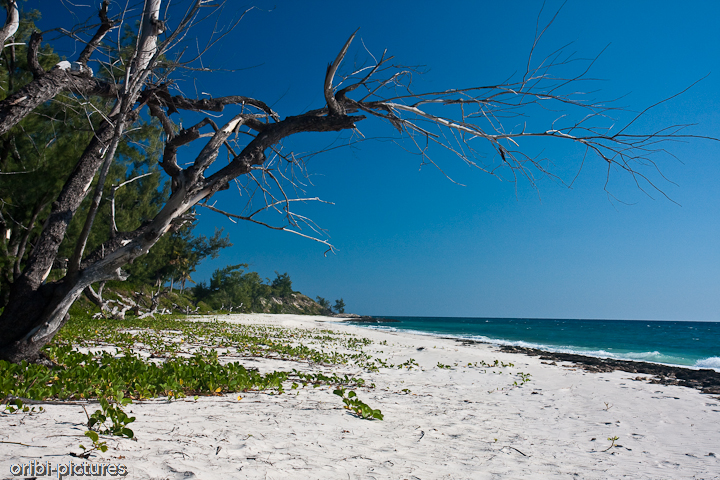 *Strand* <br><br> ... im Osten von Ilha de Santa Carolina; dafür liegt ein traumhaftes Schnorchelrevier. <br><br>