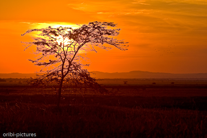 *Sonnenuntergang* <br><br> kitschiger geht's kaum <br><br>