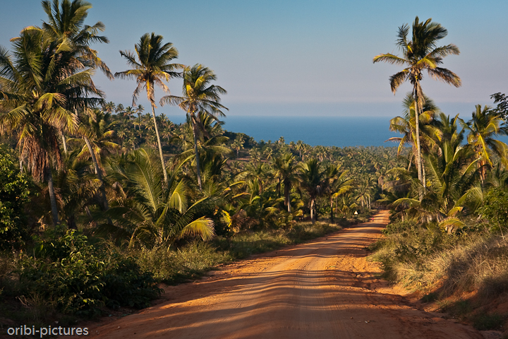 *Rote Sandpiste* <br><br> Von der EN1 führen fast ausschließlich Stichstraßen hinunter zum Meer. Meist wurden diese mit rotem Sand befestigt. <br><br>