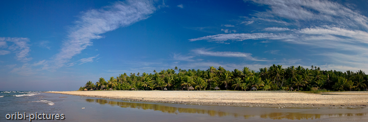 *Korallenstrand von Morrongulo* <br><br> Wahre Riesenexemplare findet man am gesamten Strand. <br><br>