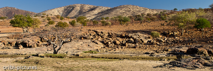 *Trockenheit*<br><br>prägt das Land ein paar Hundert Meter neben dem Kunene-Fluss.<br><br>