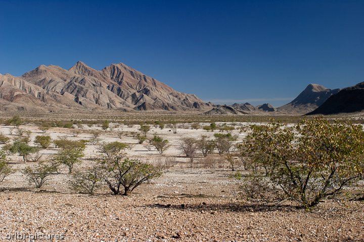 *Weites Tal*<br><br>im Kaokoveld<br><br>