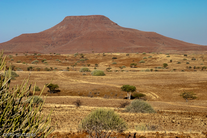 *Damaraland II*<br><br>Roter Schotter, gelbes Gras und Wolfsmilchgewächse zeichnen diese Gegend aus.<br><br>