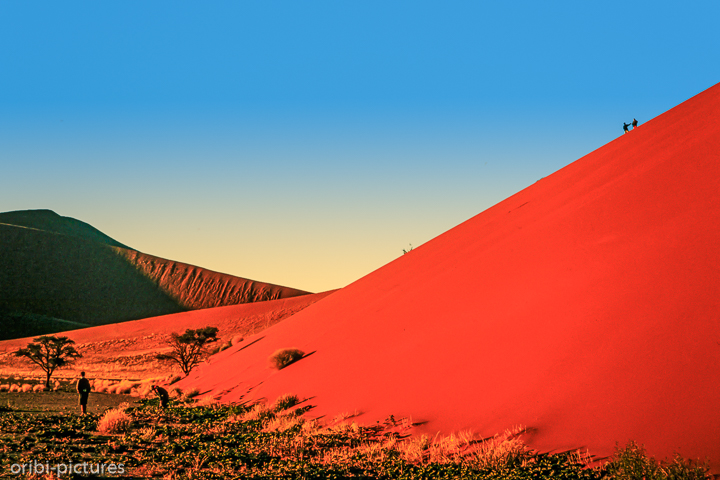 *Namibi-Wüste*<br><br><br><br>