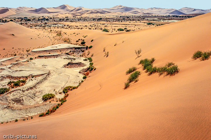 *Namibi-Wüste*<br><br><br><br>