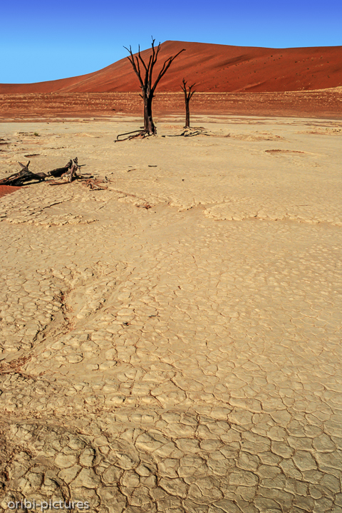 *Namibi-Wüste*<br><br><br><br>
