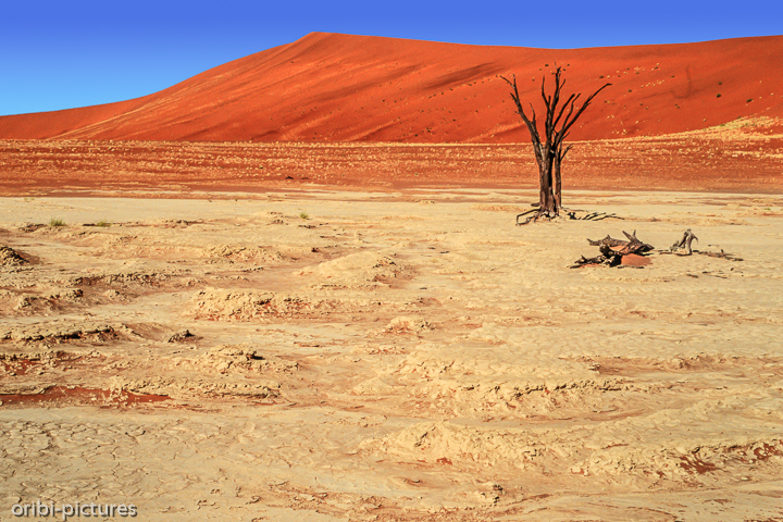 *Namibi-Wüste*<br><br><br><br>