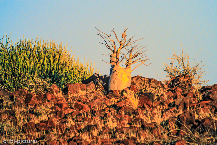 *Damaraland*<br><br><br><br>
