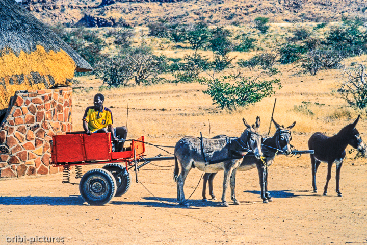 *Damaraland*<br><br><br><br>