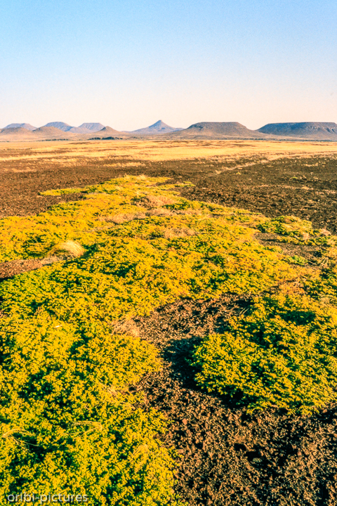 *Damaraland*<br><br><br><br>