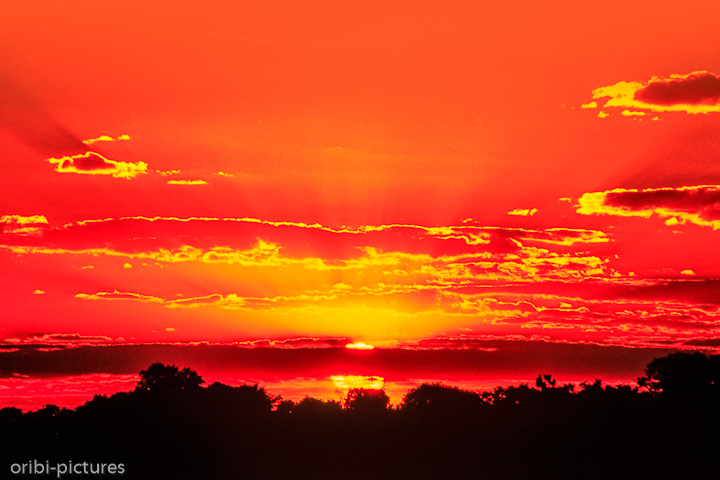 *Sonnenuntergang*<br><br><br><br>
