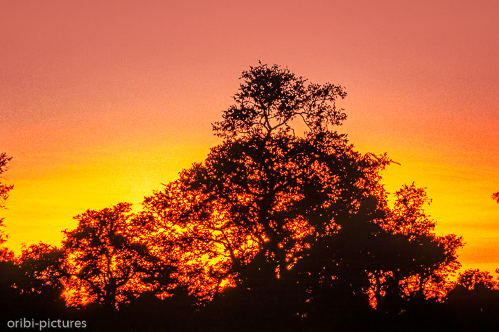 *Sonnenuntergang*<br><br><br><br>