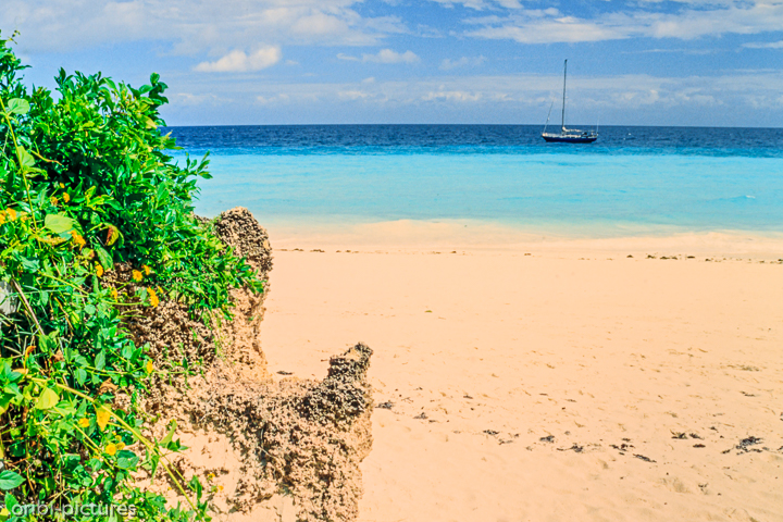 *Traumstrand*<br><br><br><br>