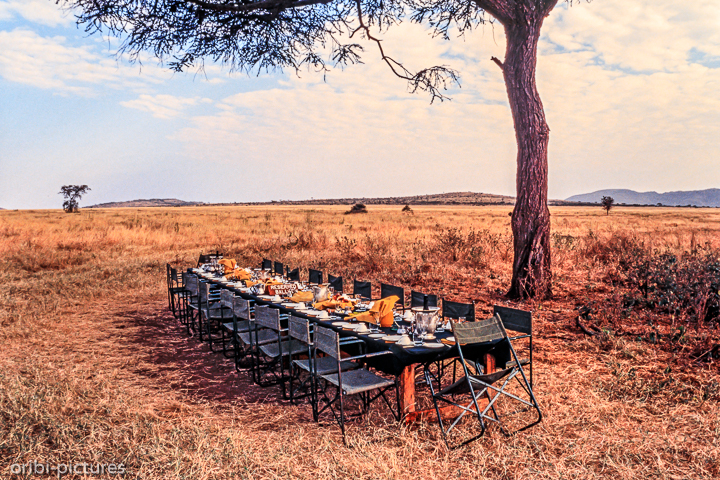 *Lange Tafel unter Akazie*<br><br><br><br>