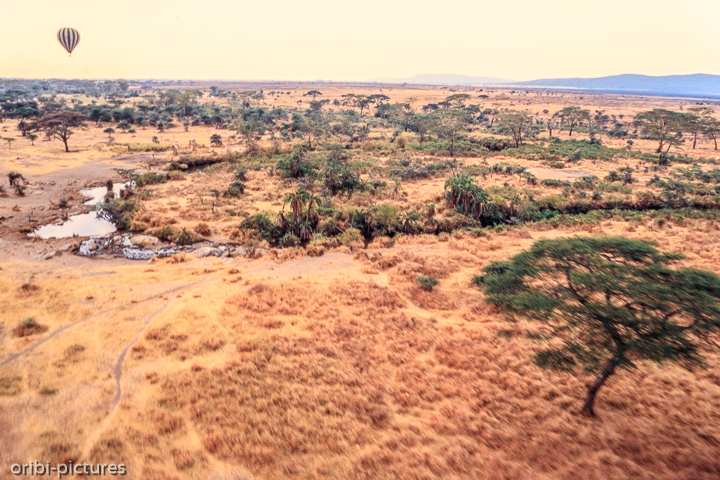 *Serengeti von oben*<br><br><br><br>