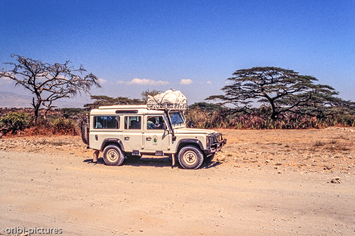 *Safari*<br><br><br><br>