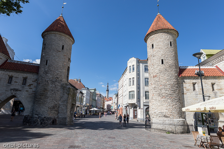 *Lehmpforte*<br><br>Die Lehmpforte ist ein Stadttor der Revaler Stadtbefestigung in der estnischen Hauptstadt Tallinn.<br><br>