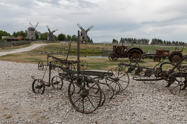 *Museum am Mühlenberg*<br><br><br><br>
