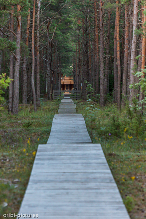*durch diese Gasse muss er gehen*<br><br><br><br>